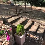 Casa de Férias Casal Nogueiras, De Charme Agradáveis E Acolhedoras