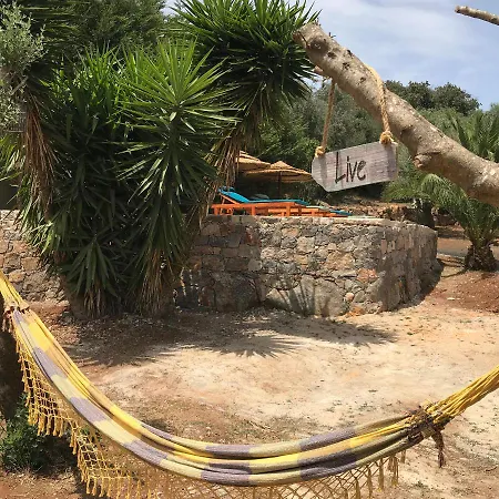 Casal Nogueiras, De Charme Agradaveis E Acolhedoras * Arrimal