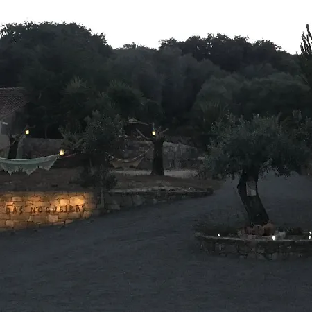 Casal Nogueiras, De Charme Agradaveis E Acolhedoras Feriehus