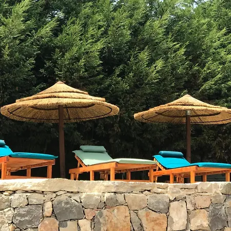 Casal Nogueiras, De Charme Agradaveis E Acolhedoras