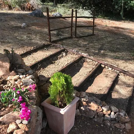 Feriehus Casal Nogueiras, De Charme Agradaveis E Acolhedoras