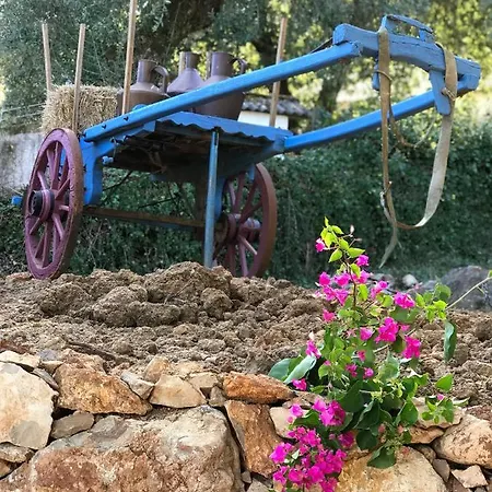 Moradia Rural De Charme Agradavel E Acolhedora Nyaraló Arrimal