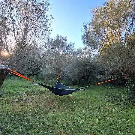 Casal Nogueiras, De Charme Agradaveis E Acolhedoras Hébergement de vacances *