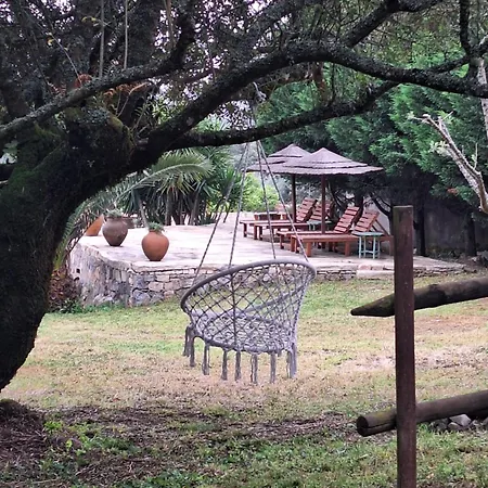 Casal Nogueiras, De Charme Agradaveis E Acolhedoras Holiday home
