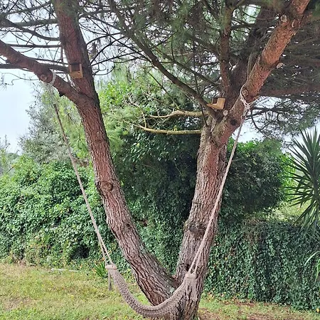 Casal Nogueiras, De Charme Agradaveis E Acolhedoras Hébergement de vacances Arrimal