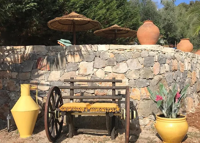 Casal Nogueiras, De Charme Agradaveis E Acolhedoras Arrimal