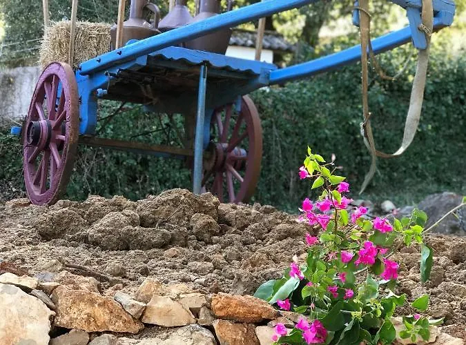 Casal Nogueiras, De Charme Agradaveis E Acolhedoras بيت للعطل Arrimal