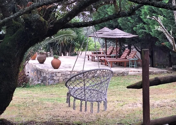 Casal Nogueiras, De Charme Agradaveis E Acolhedoras بيت للعطل