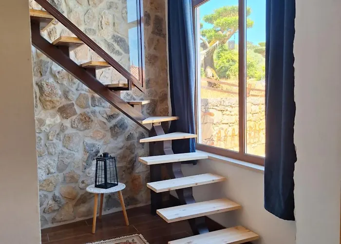 Casal Nogueiras, De Charme Agradaveis E Acolhedoras * Arrimal